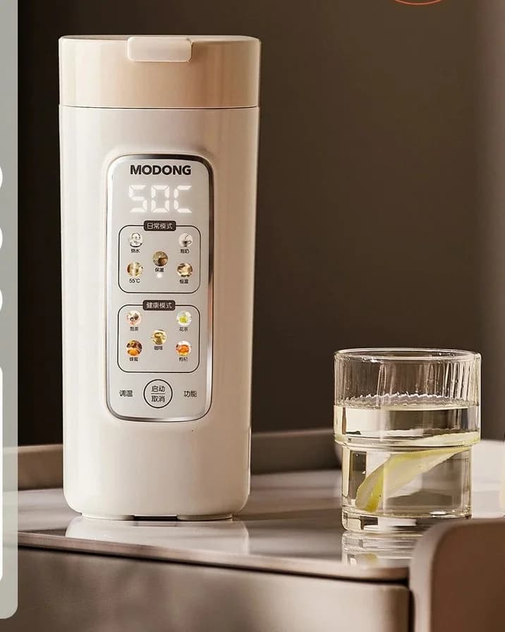 Prijenosna električna šalica za zagrijavanje vode s filtrom, 220V