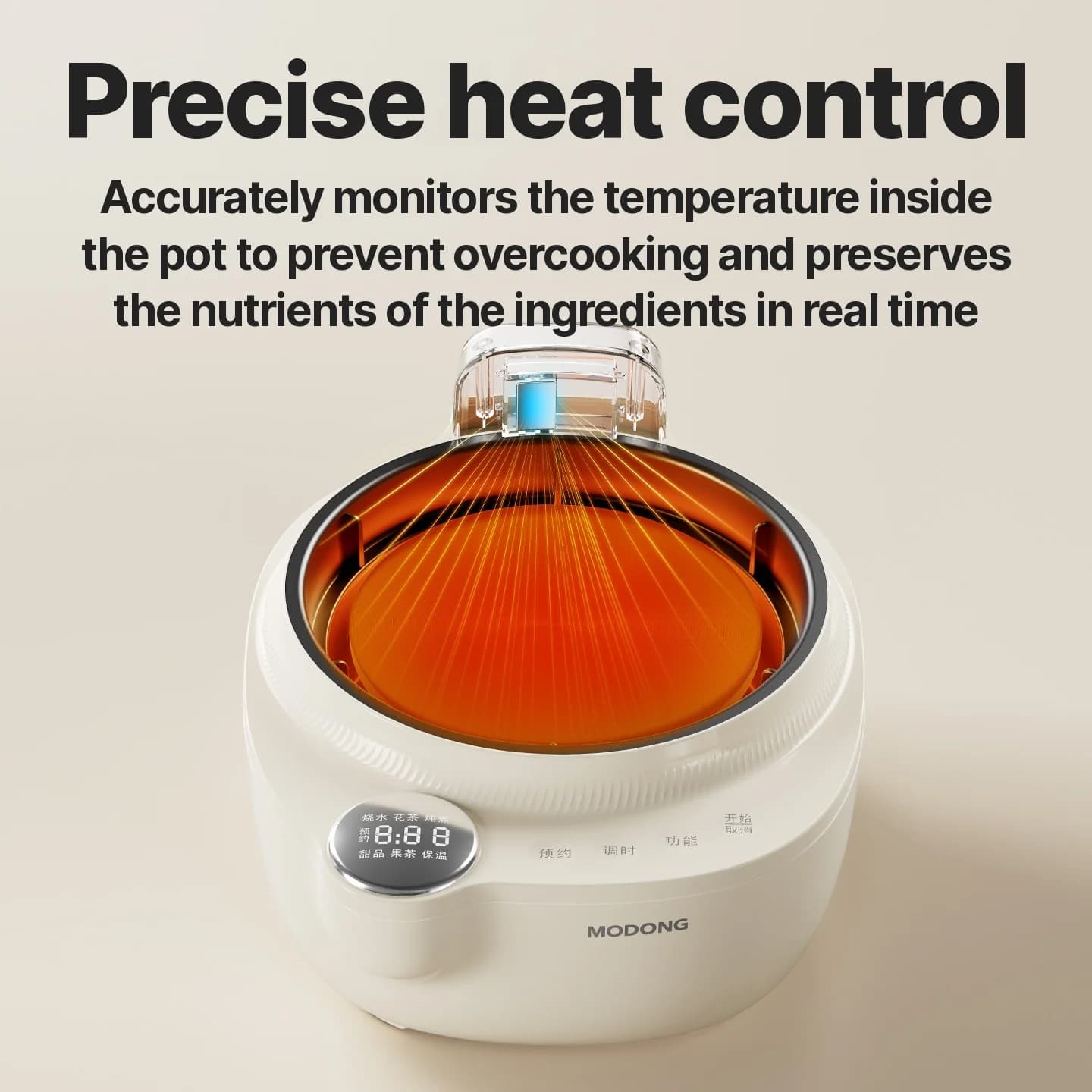 Električni stakleni zdravstveni lonac s kontrolom temperature i kuhalom za čaj